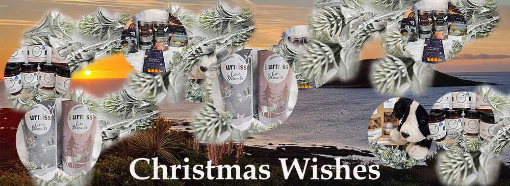 Christmas Banner 2024